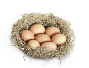 brown eggs at hay nest