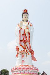 Obraz premium Statue of Guan Yin.