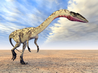 Obraz na płótnie Canvas Dinosaurier Coelophysis