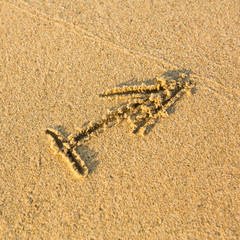 Zodiac sign Sagittarius, drawn on the facture beach sand.