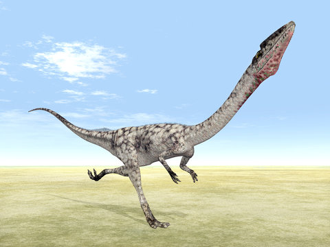 Dinosaurier Coelophysis