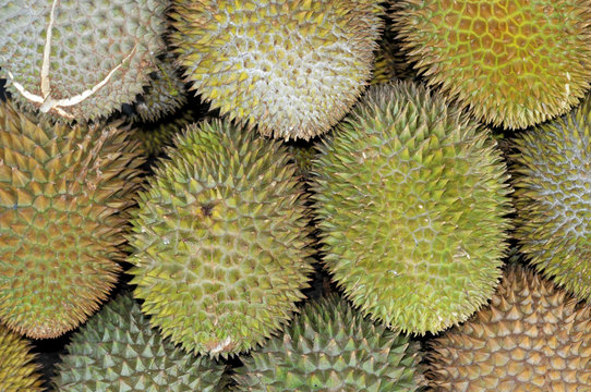 Durian