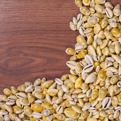 Sea shells in the corner on a wooden texture