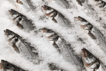 Fresh fish on ice
