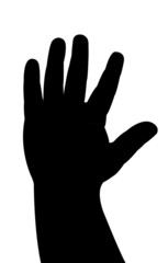 hand vector