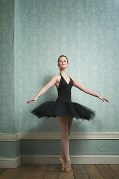 Portrait of a Beautiful Ballerina on her Toes