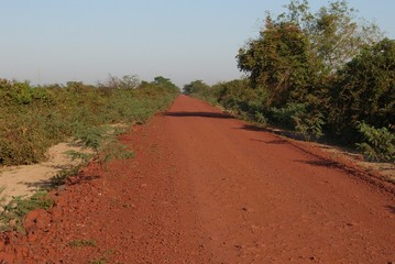 Pantanal Brésil
