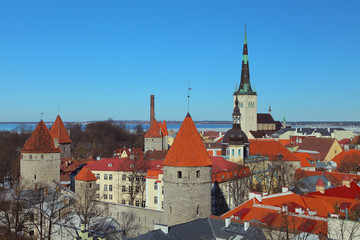 Obraz premium red houses
