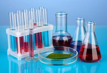 Test-tubes and green leaf tested in petri dish,