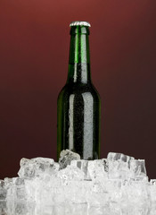 Beer bottle in ice on darck red background