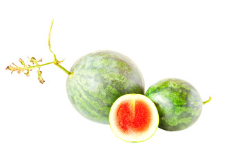Fresh water melon isolated on white background