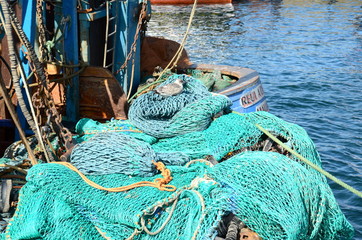 Seagull sitting on fishing nets and equipment on a boat