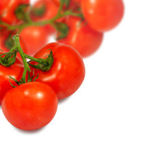 tomatoes isolate