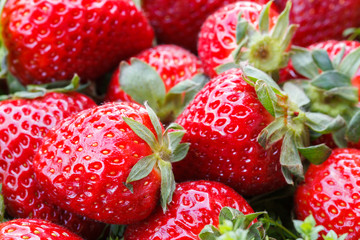 Fresh strawberries