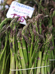 Gemüsespargel