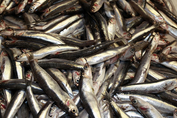 Obraz premium Fische am Fischmarkt
