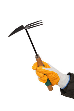 Gardening Hoe And Rake In Human Hand With Gloves