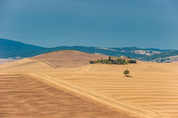 Fototapeta na wymiar typowy krajobraz toskański