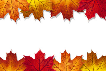 autumn leaves frame on a white background