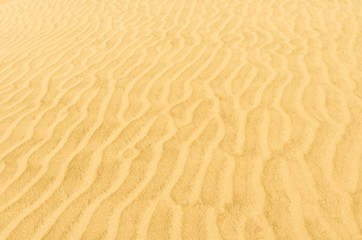 dunes of cerro blanco