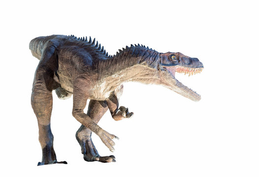 Restoration of a Herrerasaurus dinosaur isolated
