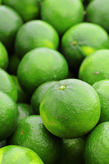 lime citrus fruit