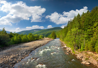 Beautiful summer landscape in the mountains with river