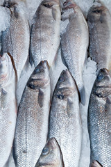 Raw Seabasses on Ice