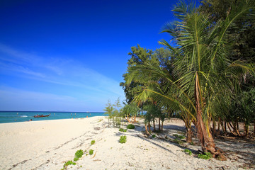 Obraz na płótnie Canvas palms and sea beach against blue sky