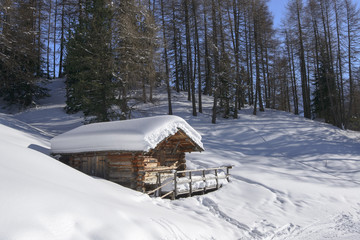 snowy hut in woods, Costalunga pass