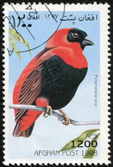 stamp printed in Afghan shows Pyromelana orix