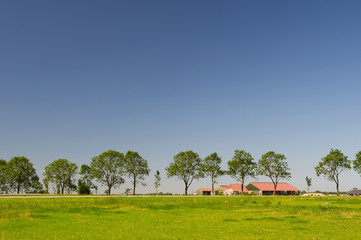 Fototapeta premium Dutch landscape with farmhouse
