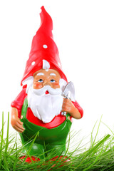 Gartenzwerg auf Rasen