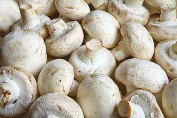 background from the mushrooms of champignons