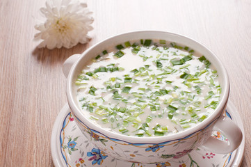 Russian national dish - Okroshka with green onions