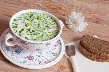 Russian national dish - Okroshka with green onions