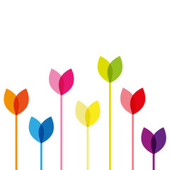 Fototapeta premium Tulipany