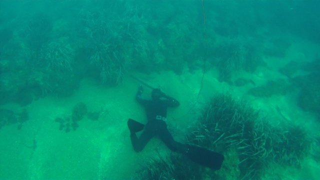 spear fishing