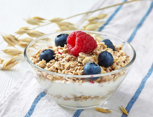 bowl of muesli and yogurt with fresh berries
