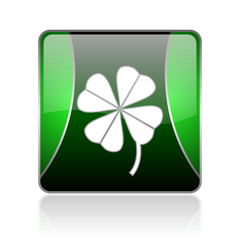 four-leaf clover black and green square web glossy icon