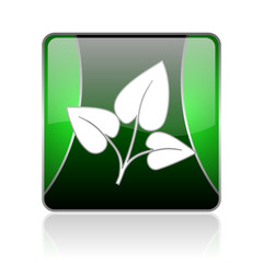 eco black and green square web glossy icon