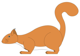 Illustration of a squirrel on white