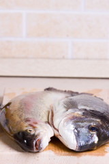 sea bream