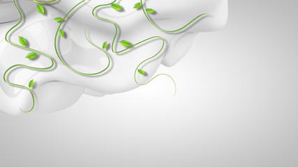 Foliage on white background