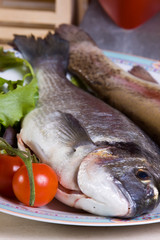 sea bream