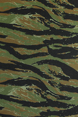 US vietnam green tigerstripe camouflage fabric texture backgroun
