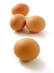 Eggs