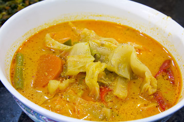 Naklejka premium Nonya Sayur Lodeh Vegetable Soup Dish Closeup