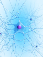 3d rendered illustration of a nerve cell