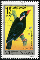 stamp printed in Vietnam shows image of a Gracula religiosa